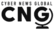 cybernewsglobal